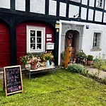 Schwarzer Kater * Grossschoenau