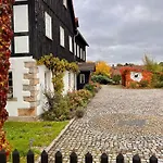Schwarzer Kater * Grossschoenau