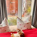 Schwarzer Kater * Grossschoenau