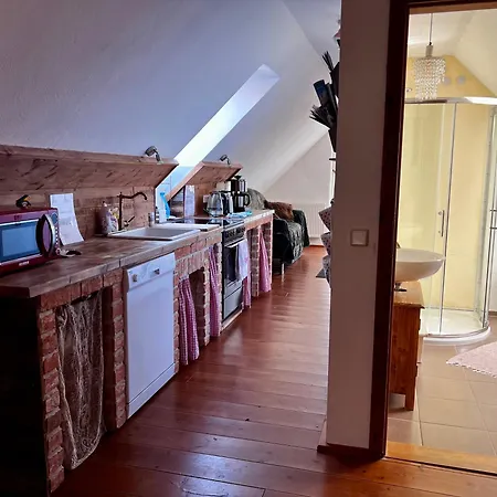 Schwarzer Kater Großschönau