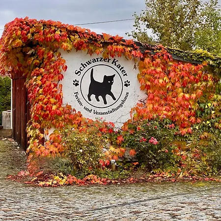 Nyaraló Schwarzer Kater
