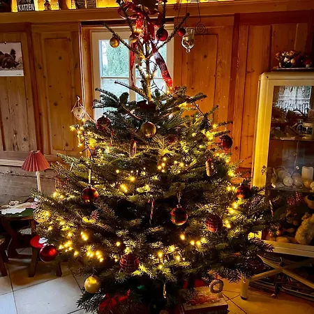 Ferienhaus Schwarzer Kater *