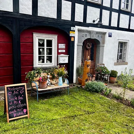 Schwarzer Kater * Großschönau