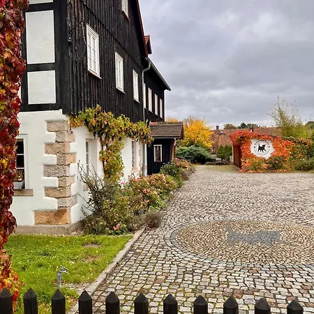 Schwarzer Kater * Großschönau