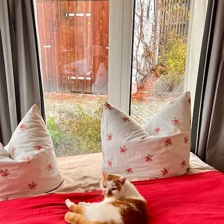 Schwarzer Kater * Großschönau