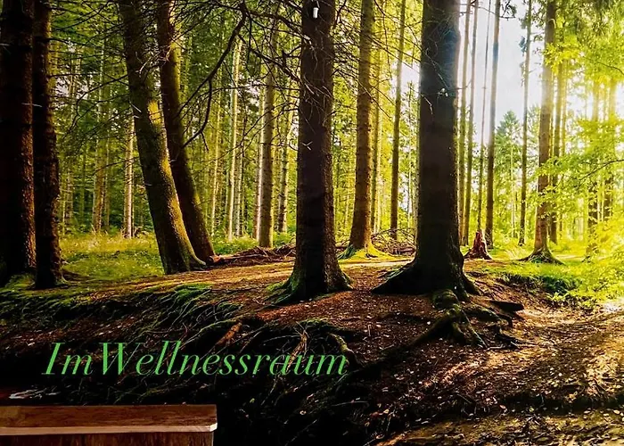 بيت للعطل Schwarzer Kater