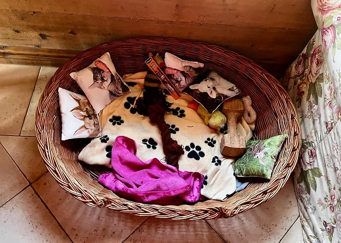 Schwarzer Kater بيت للعطل غروسشوناو