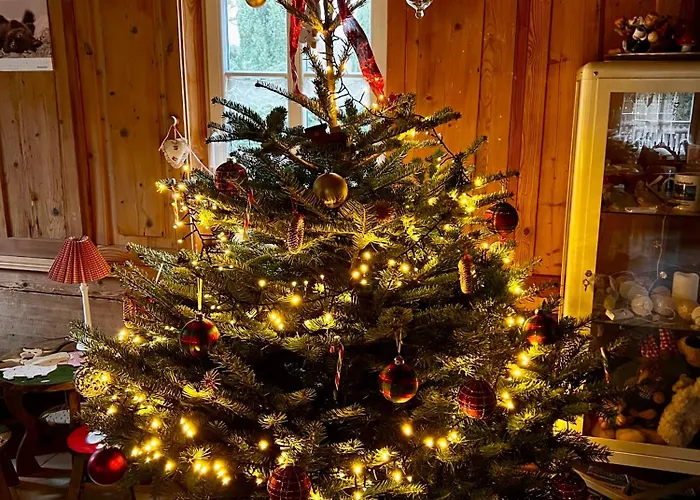 بيت للعطل Schwarzer Kater *