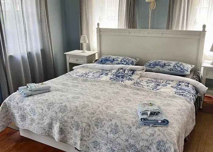 Schwarzer Kater غروسشوناو