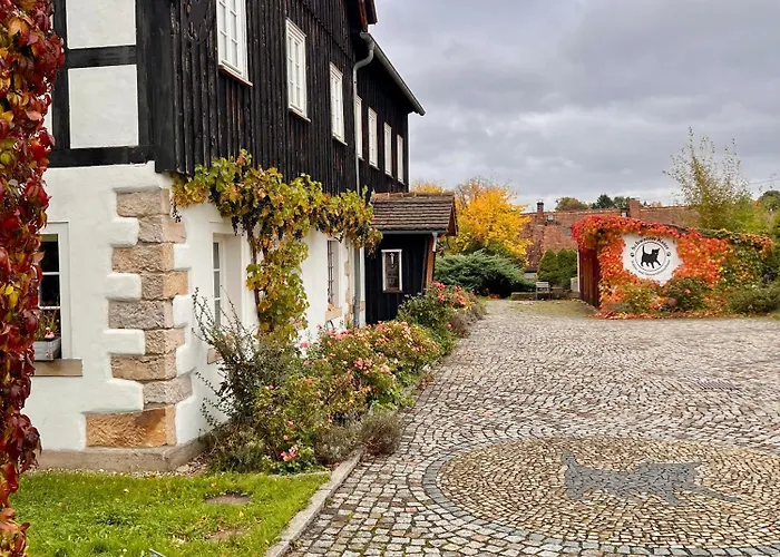 Schwarzer Kater * غروسشوناو