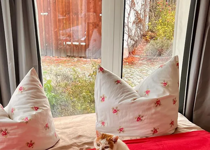 Schwarzer Kater * غروسشوناو